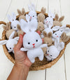 Mini Crochet Bunny